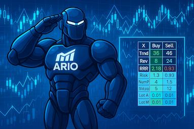 راهنمای پلن مدیریت ریسک و سرمایه